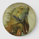 Search for green iguana art Pet