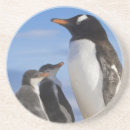 Search for antarctic barware Ocean