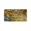 Search for stream return address labels Creek
