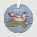 Search for mallard duck christmas tree decorations Ducks