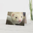 Search for ferret cards Animal