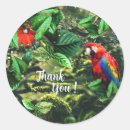 Search for red parrot stickers Macaw
