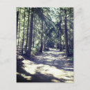 Search for forest path postcards Nature