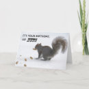 Search for funny squirrel cards Go nuts