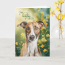 Search for greyhound birthday cards Dogs