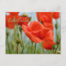 Search for mohn postcards Natur