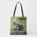 Search for squirrel photo accessories Squirrels