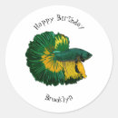 Search for fish cartoon stickers Pet