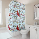 Search for airplane shower curtains Retro