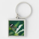 Search for wings butterfly key rings Green