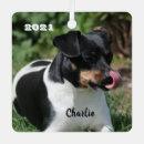 Search for rat terrier christmas tree decorations Dogs