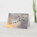 Search for cancer treatment cards Chemo