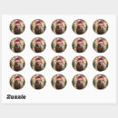 Search for wombat stickers Funny