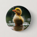 Search for duckling badges Animal