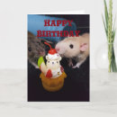 Search for rat birthday cards Animal