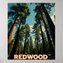Search for national park posters Retro travel