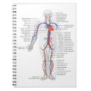 Search for human anatomy notebooks School
