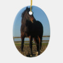 Search for thoroughbred horse christmas tree decorations Equestrian