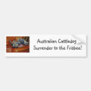 Search for acd bumper stickers Blue