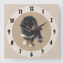 Search for curly art Pet