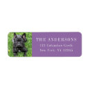 Search for french bulldogs return address labels Pet