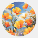 Search for california poppies stickers Botanical