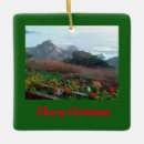 Search for point christmas tree decorations Beach