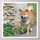 Search for shiba inu gifts Dog lovers