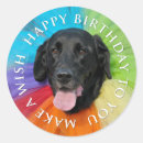 Search for black labs stickers Labrador retriever
