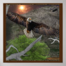 Search for eagle fantasy art Nature
