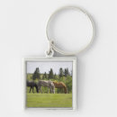 Search for grazing key rings Rural scene