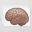 Search for brain invitations Anatomy