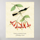 Search for hummingbird art Vintage