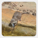 Search for small talk stickers Wildlife