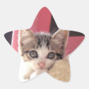 Search for pussy stickers Kitties