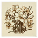 Search for daffodil art Wall