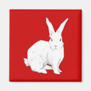 Search for fluffy white square magnets Drawing