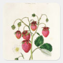 Search for etching stickers Botanical