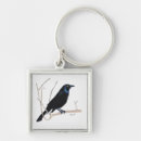 Search for crow key rings Blackbird