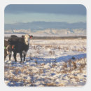 Search for calgary stickers Horizontal