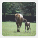 Search for mare and foal stickers Animal