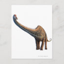 Search for extinction postcards Reptile