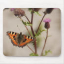 Search for butterfly lovers electronics Orange