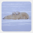 Search for low temperature stickers Togetherness