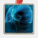 Search for lungs christmas tree decorations Human