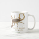 Search for scorpions mugs Arachnids