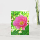 Search for inside photography Floral