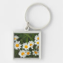 Search for aster key rings Botany