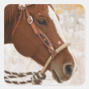 Search for body image stickers Animal body part