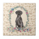 Search for labrador tiles Black labrador retriever